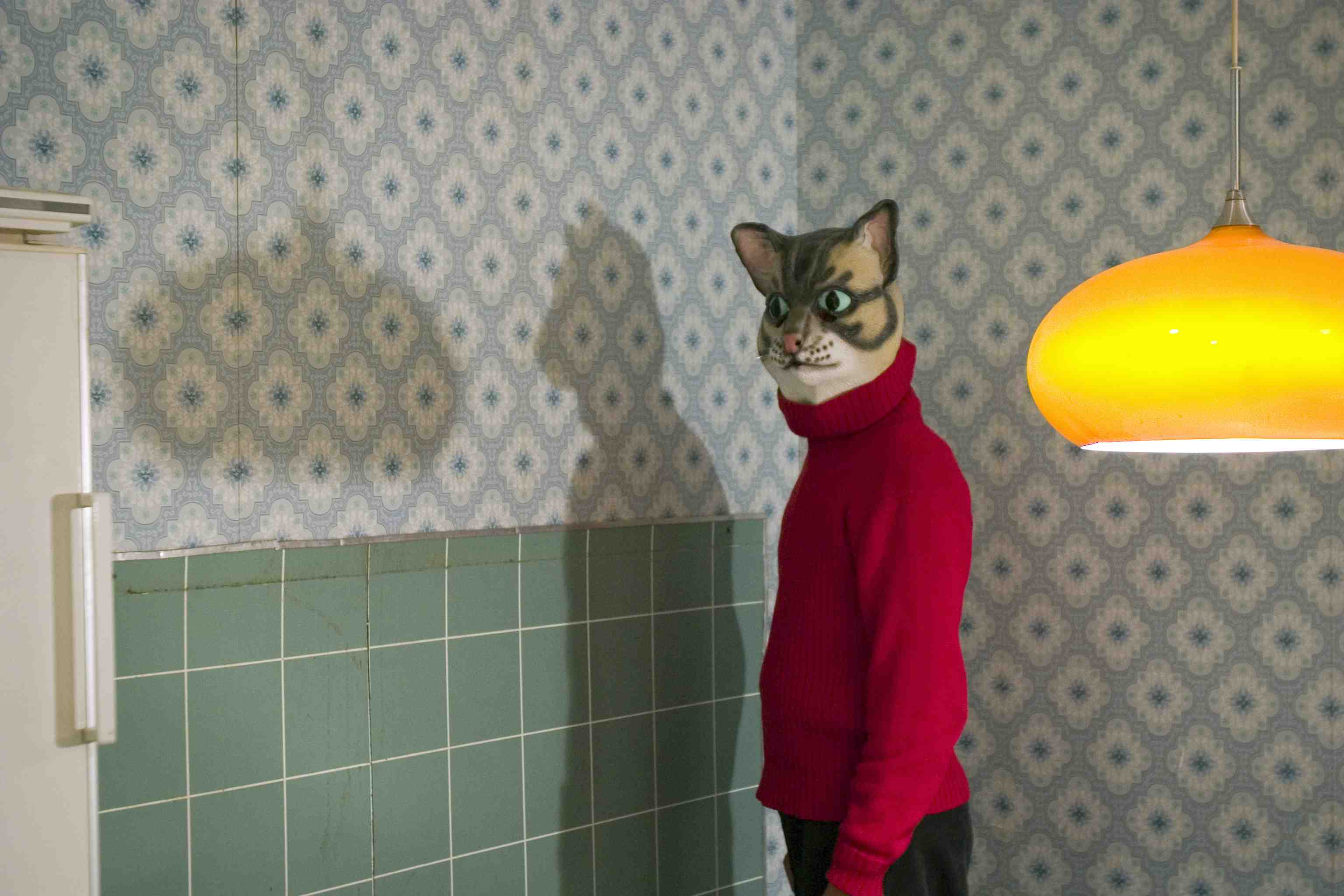 skyggekat